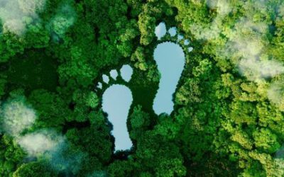 Wasser- und Energiekosten senken: So können Sie Ihre industrielle Reinigung optimieren