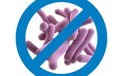 Industrielle Reinigungsanlage in der Lebensmittelproduktion: Anforderungen, Lösungen und Best Practices